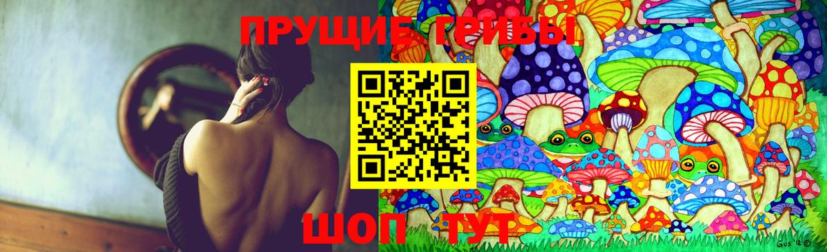 Галлюциногенные грибы мухоморы  Вход с VPN  где купить наркоту  Отрадный  Галлюциногенные грибы Psilocybine cubensis 